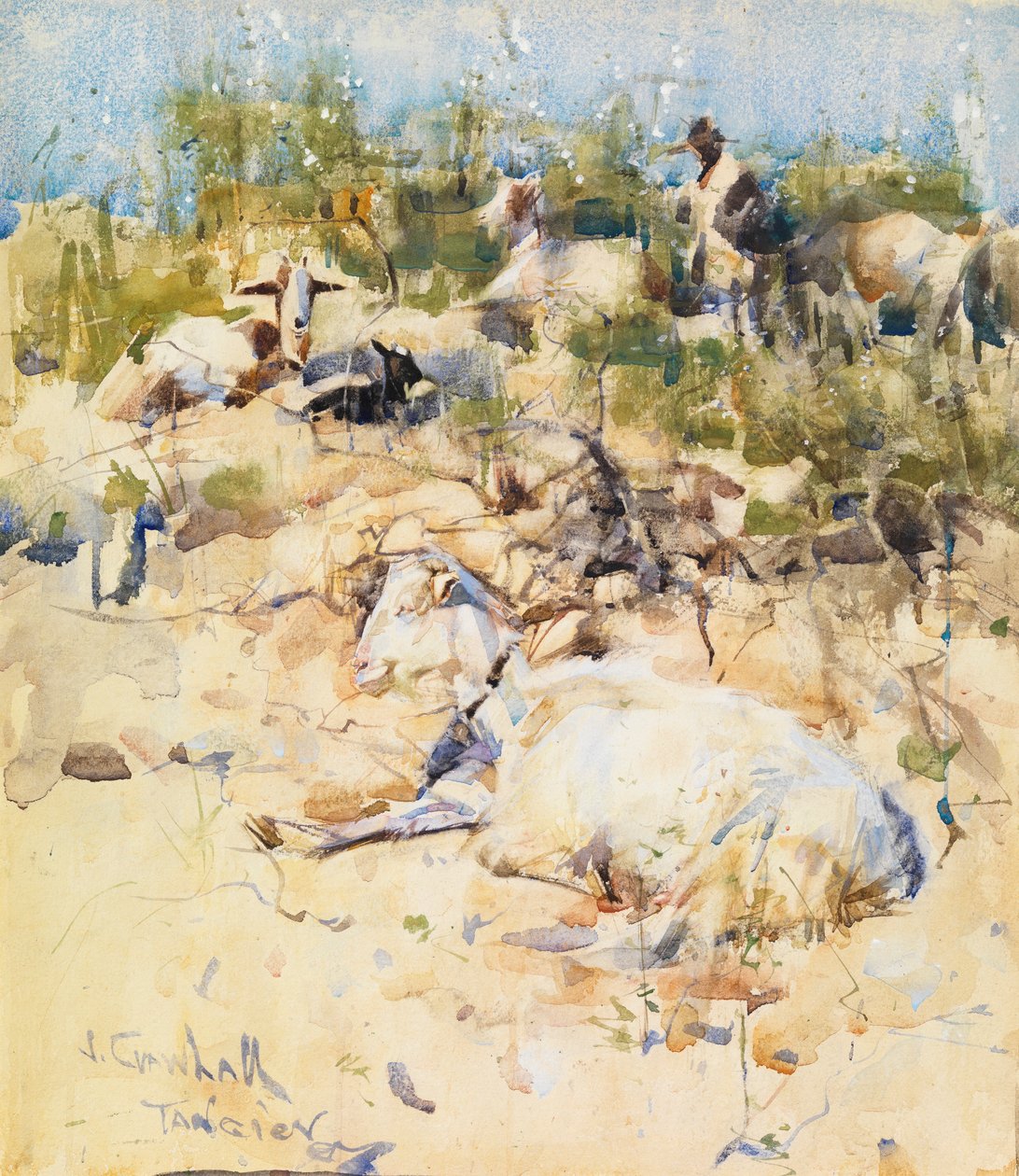 Yamaçta Keçiler, Tanca (kağıt üzerine guaj dokunuşlarıyla sulu boya) by Joseph Crawhall