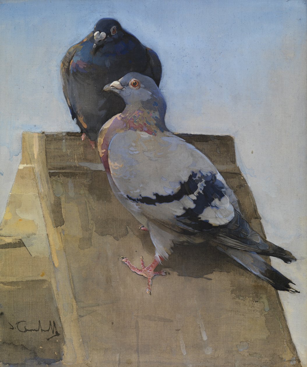 Damdaki Güvercinler (keten üzerine guaş) by Joseph Crawhall