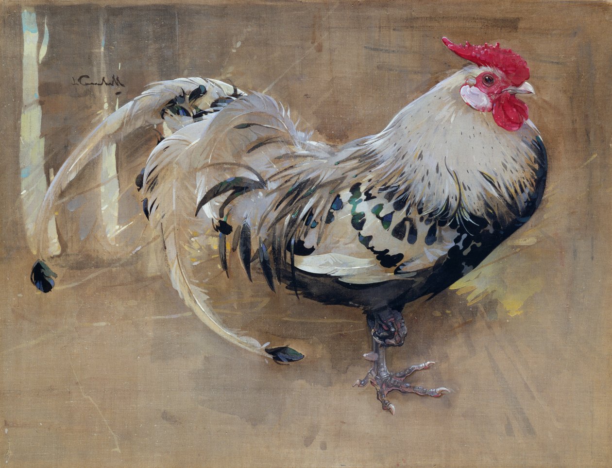 bu süslü horoz by Joseph Crawhall