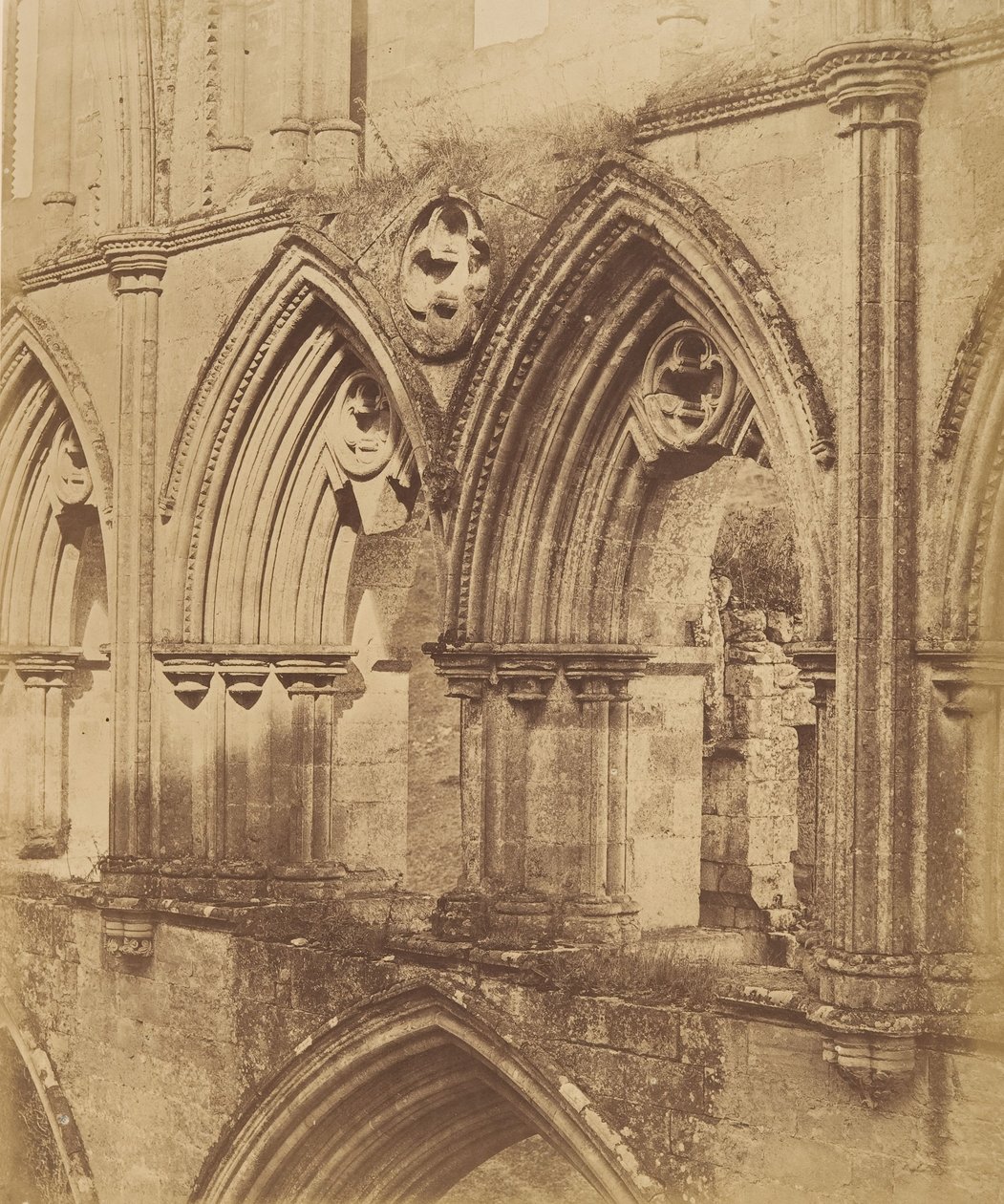 Rievaulx Manastırı. Triforium Kemerleri, 1850 by Joseph Cundall