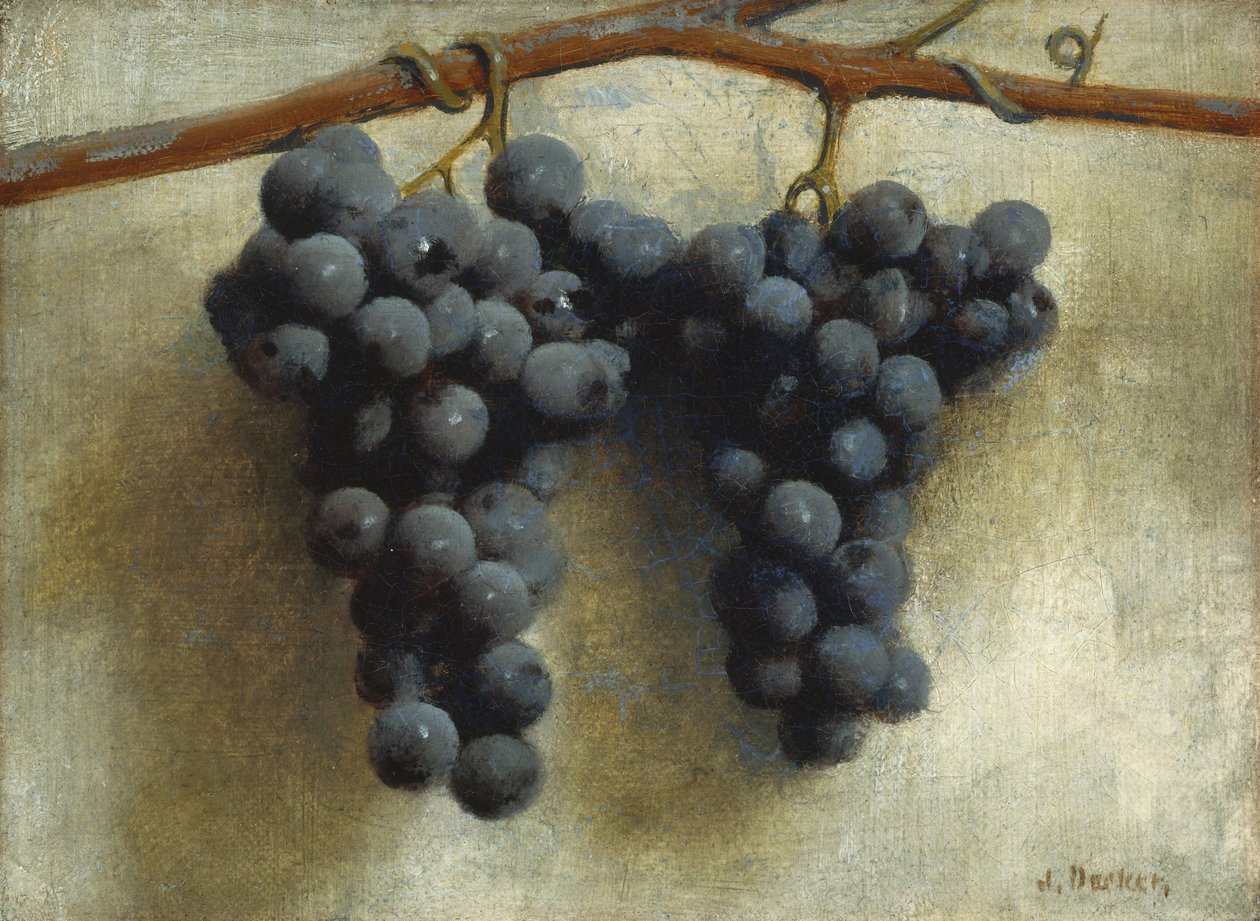 Üzümler, c.1890-1895 (tuval üzerine yağlıboya) by Joseph Decker
