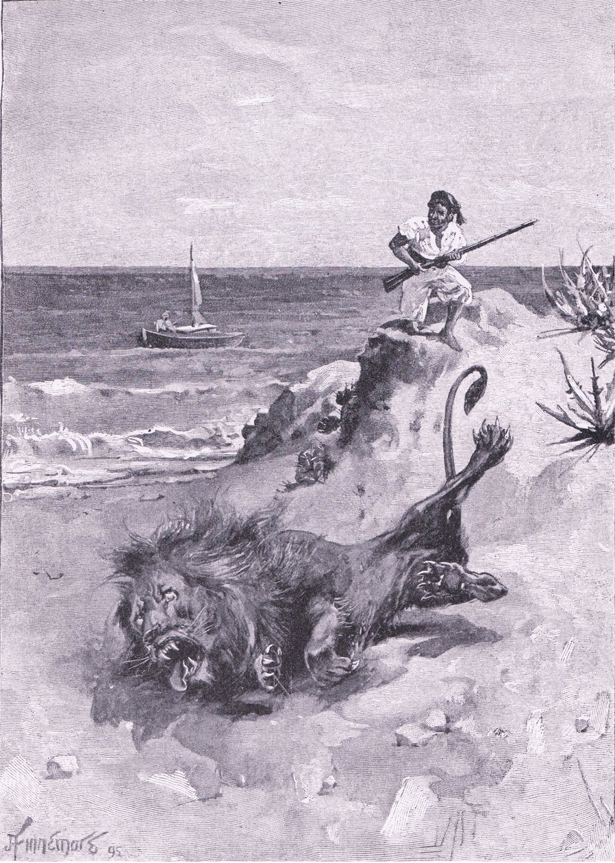 Yaşam için mücadele etti (lito) by Joseph Finnemore