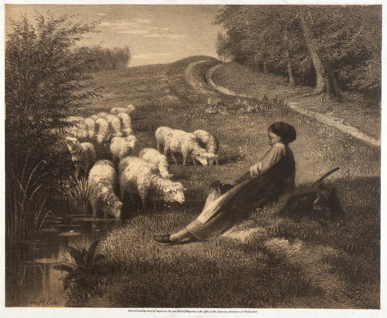 by Joseph Foxcroft Cole