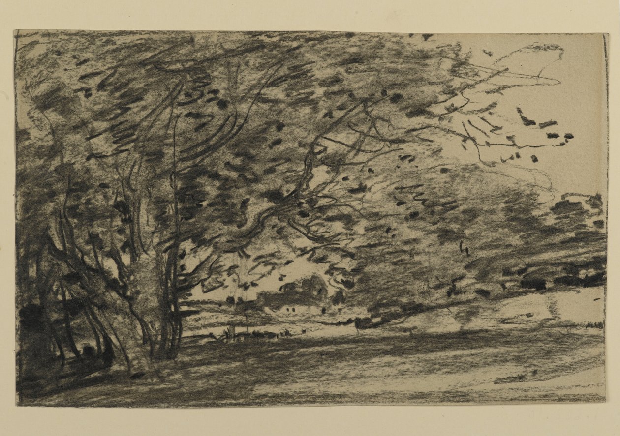 Ağaçların İncelenmesi, 1870 (kağıt üzerinde grafit) by Joseph Frank Currier