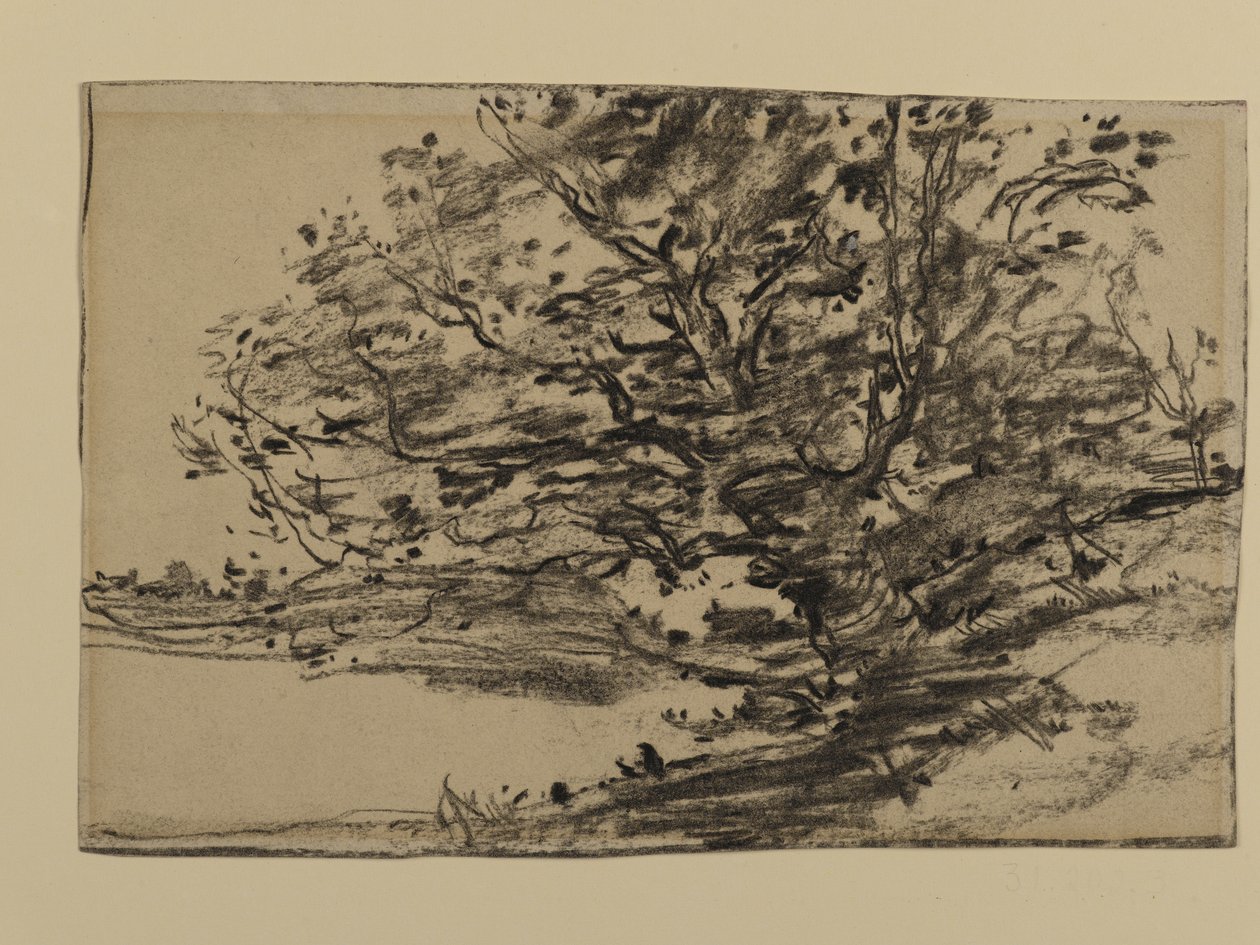 Ağaçların İncelenmesi, 1870 (kağıt üzerinde grafit) by Joseph Frank Currier