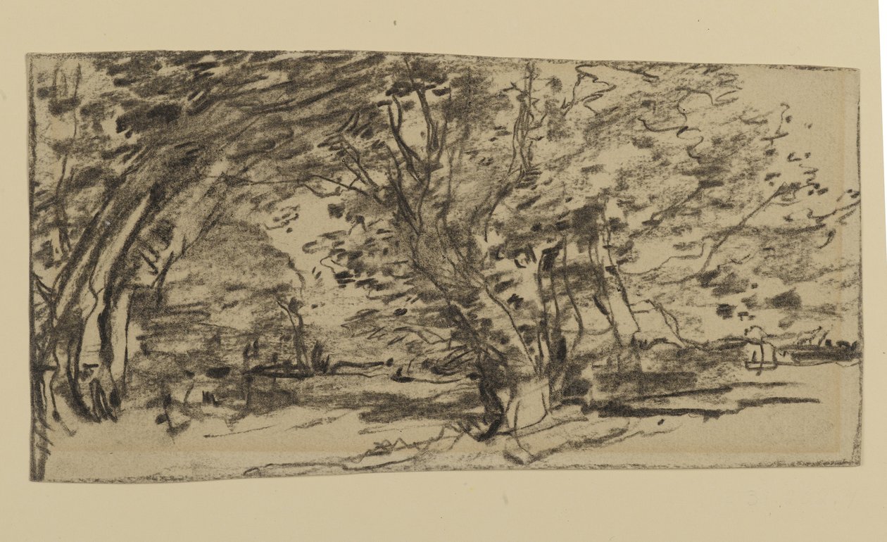 Ağaçların İncelenmesi, 1870 (kağıt üzerinde grafit) by Joseph Frank Currier