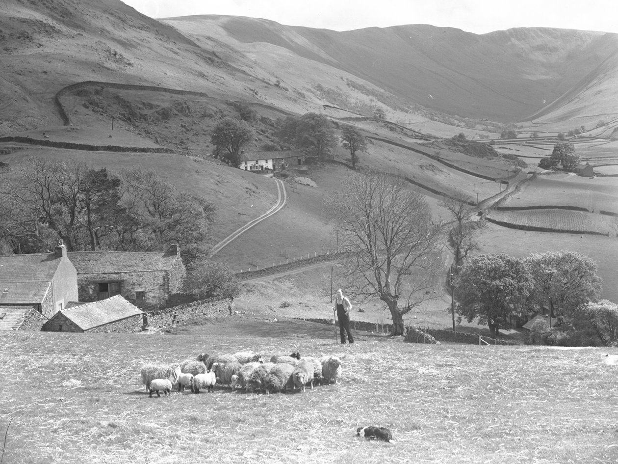  by Joseph Hardman