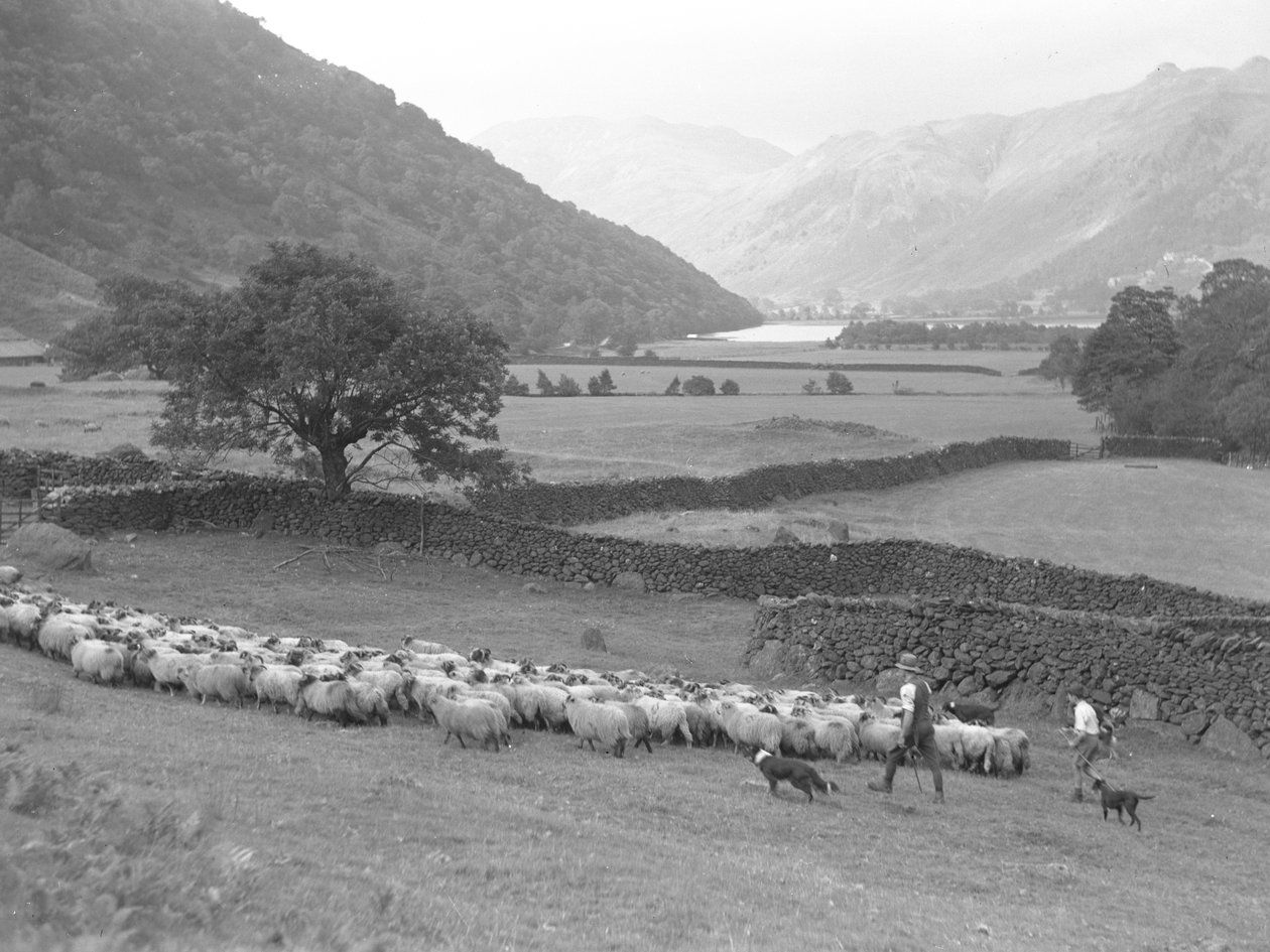  by Joseph Hardman