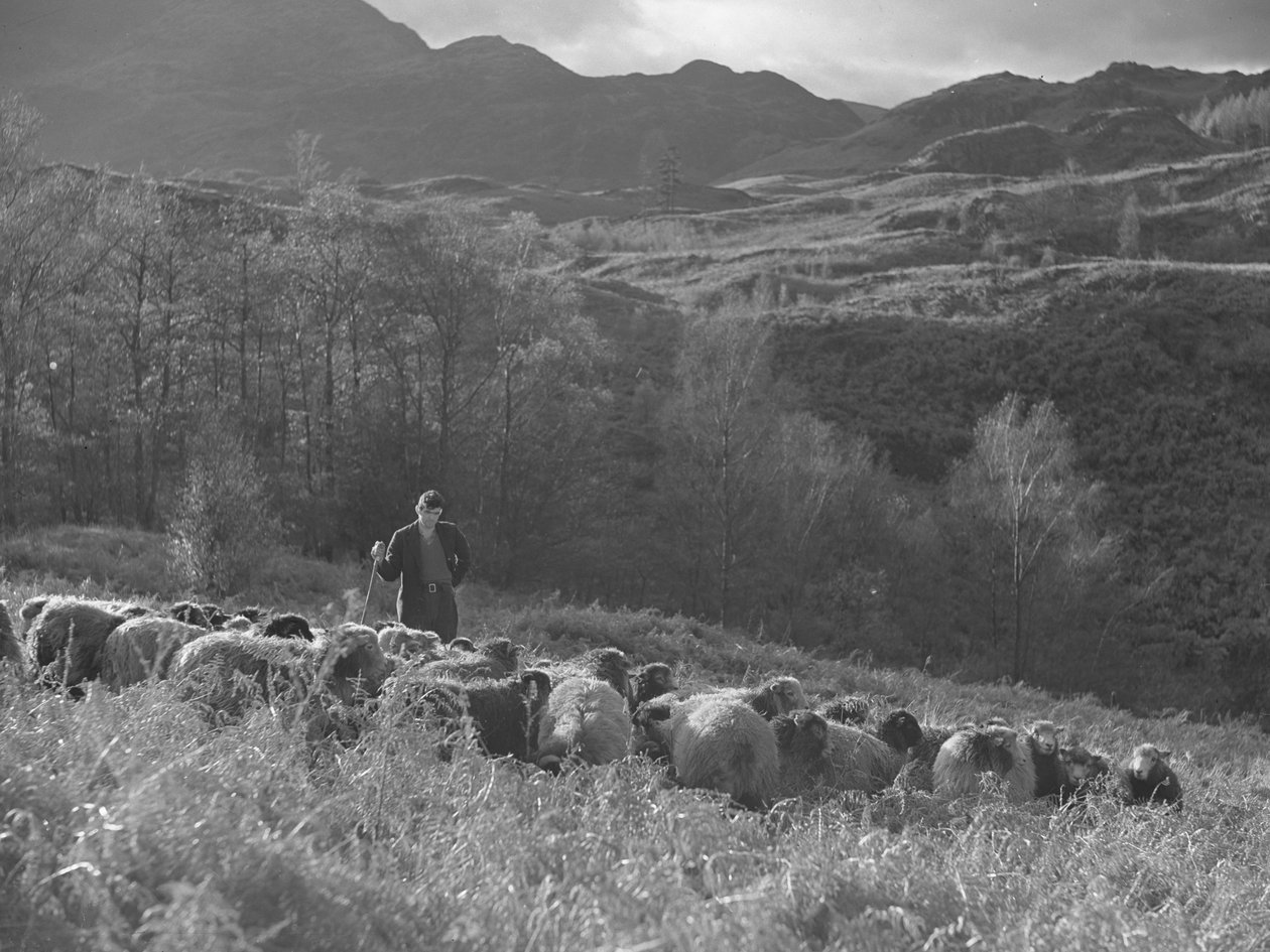  by Joseph Hardman