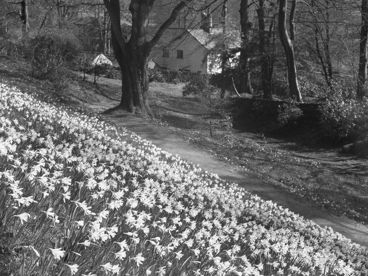  by Joseph Hardman