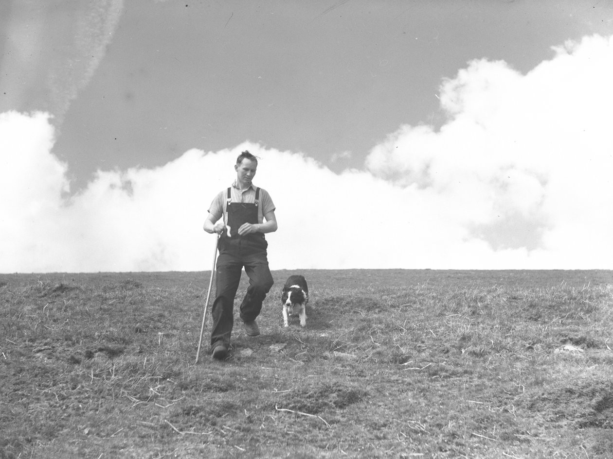  by Joseph Hardman