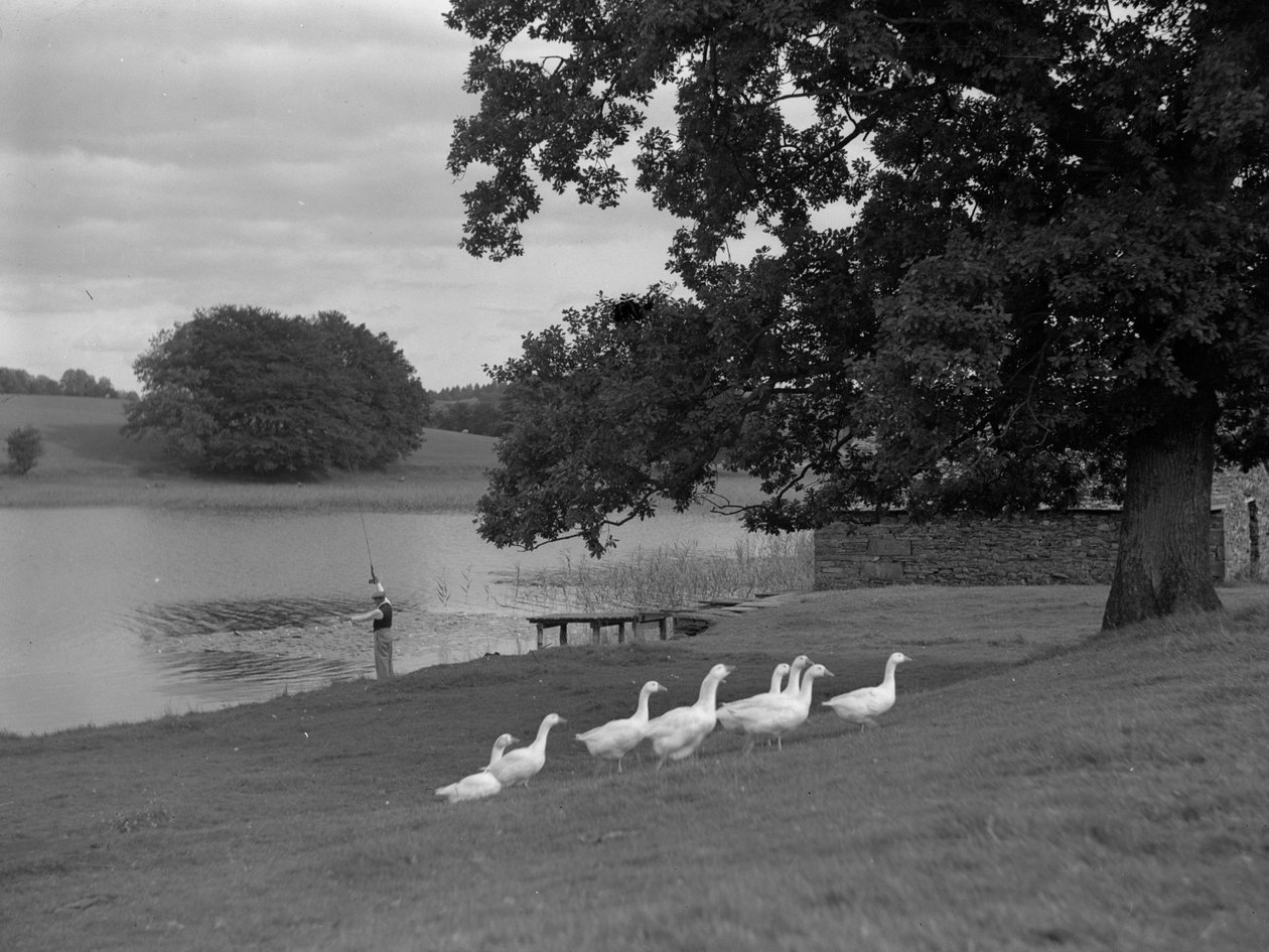  by Joseph Hardman