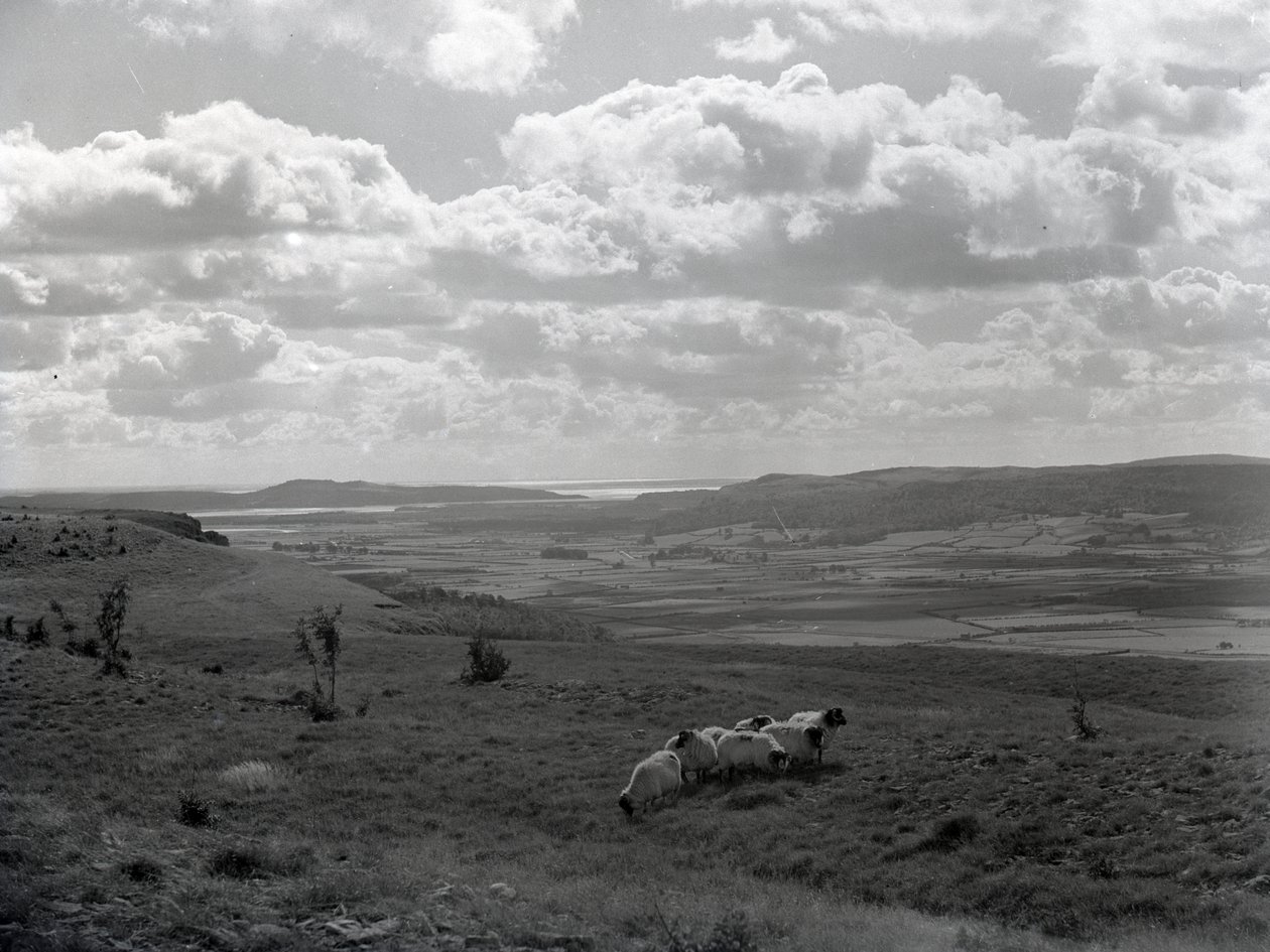  by Joseph Hardman