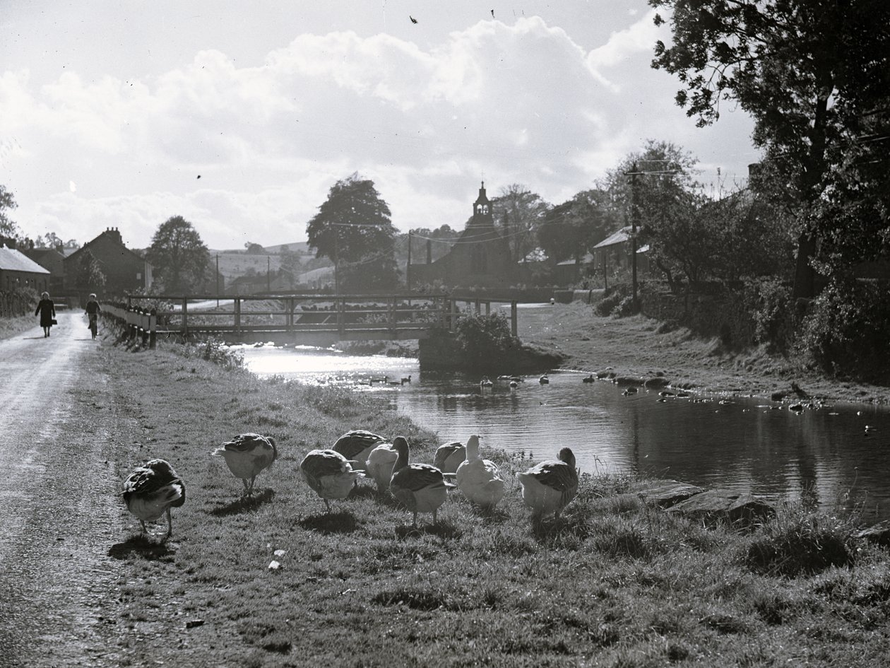  by Joseph Hardman