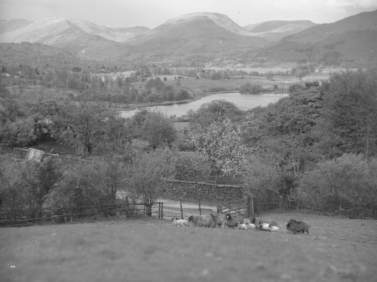  by Joseph Hardman