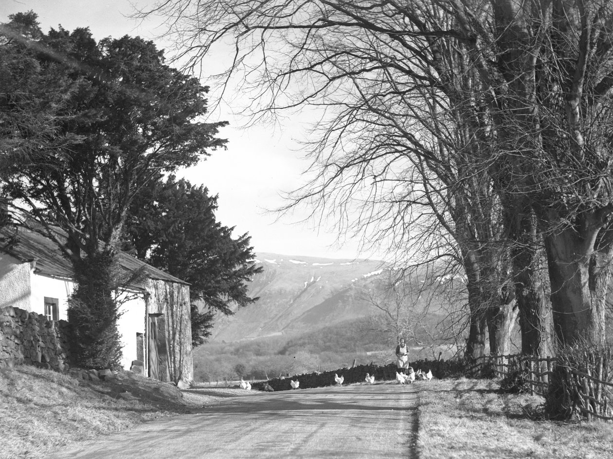  by Joseph Hardman
