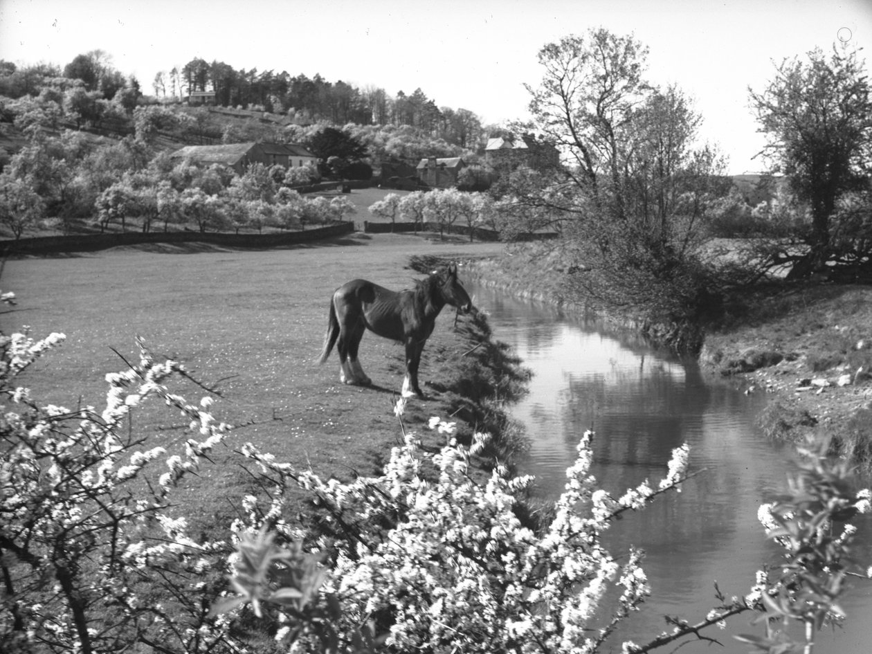  by Joseph Hardman