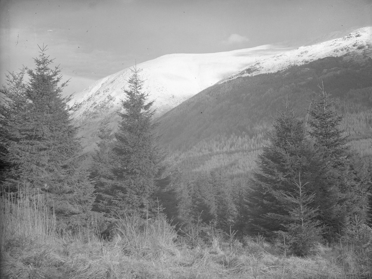 by Joseph Hardman