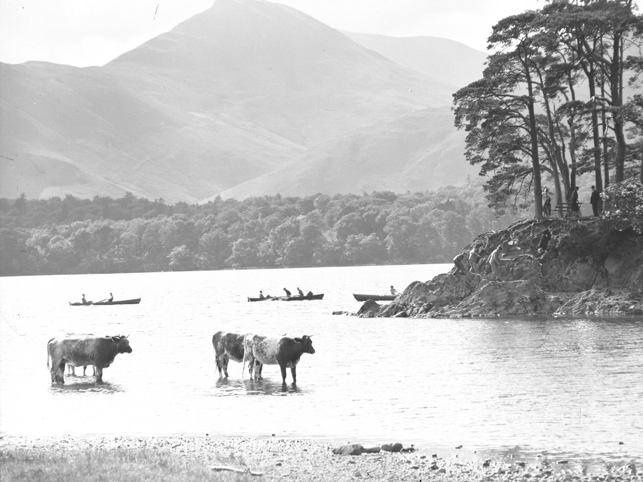  by Joseph Hardman