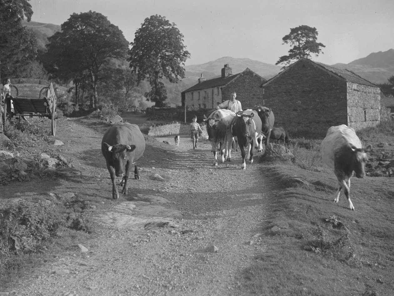  by Joseph Hardman