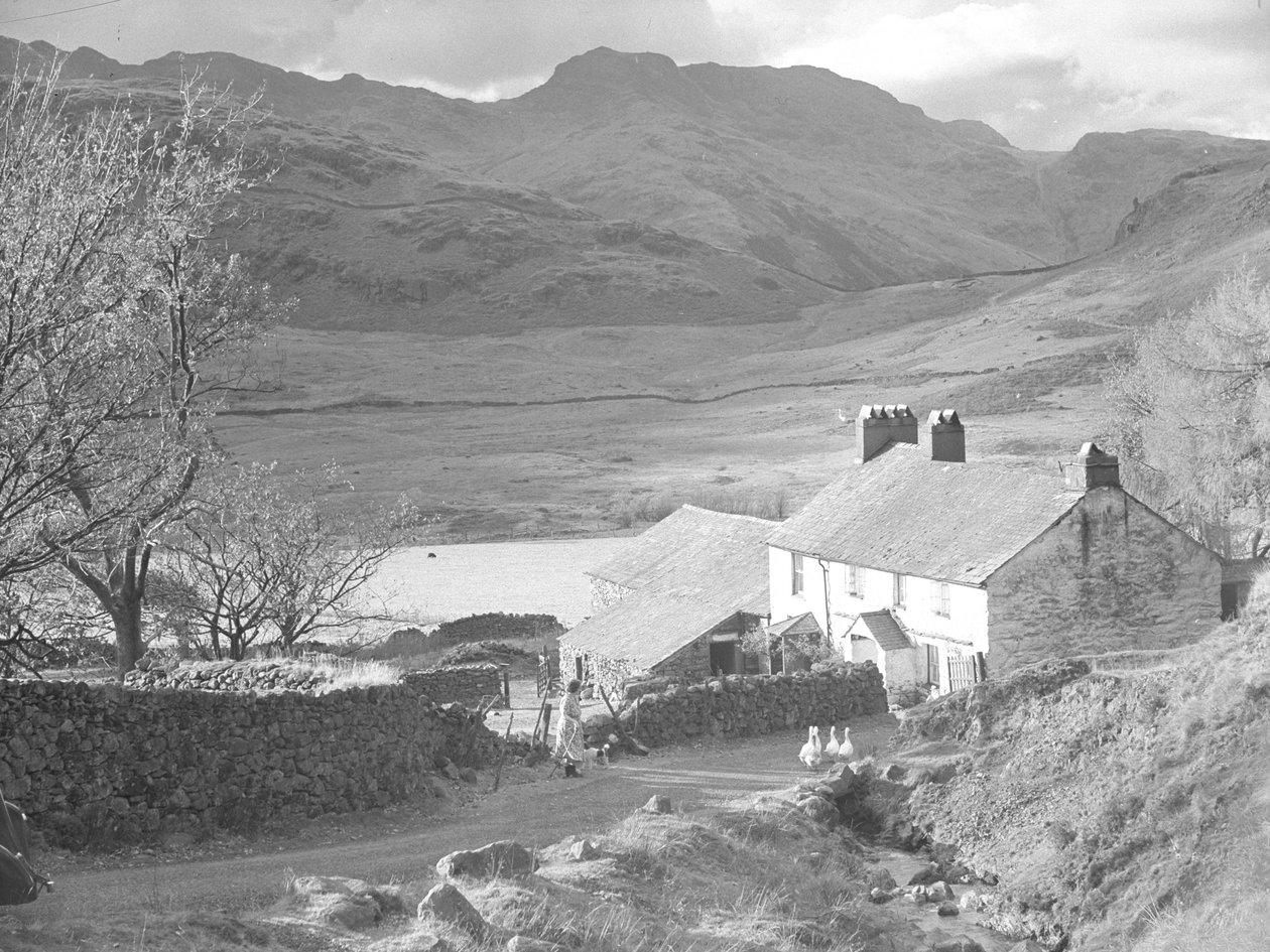  by Joseph Hardman