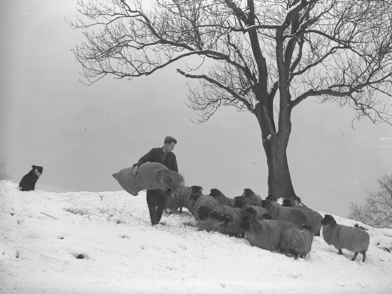  by Joseph Hardman