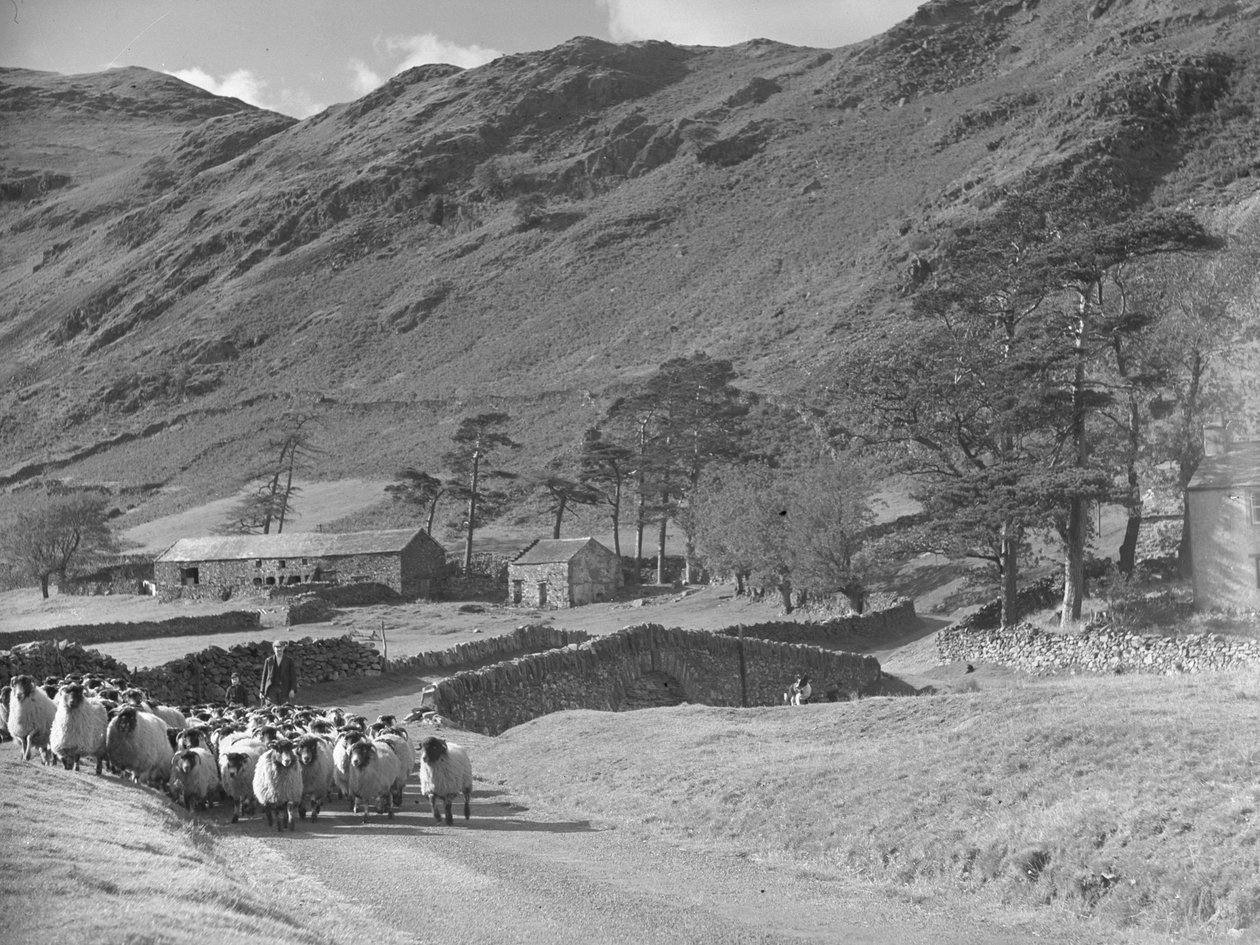  by Joseph Hardman