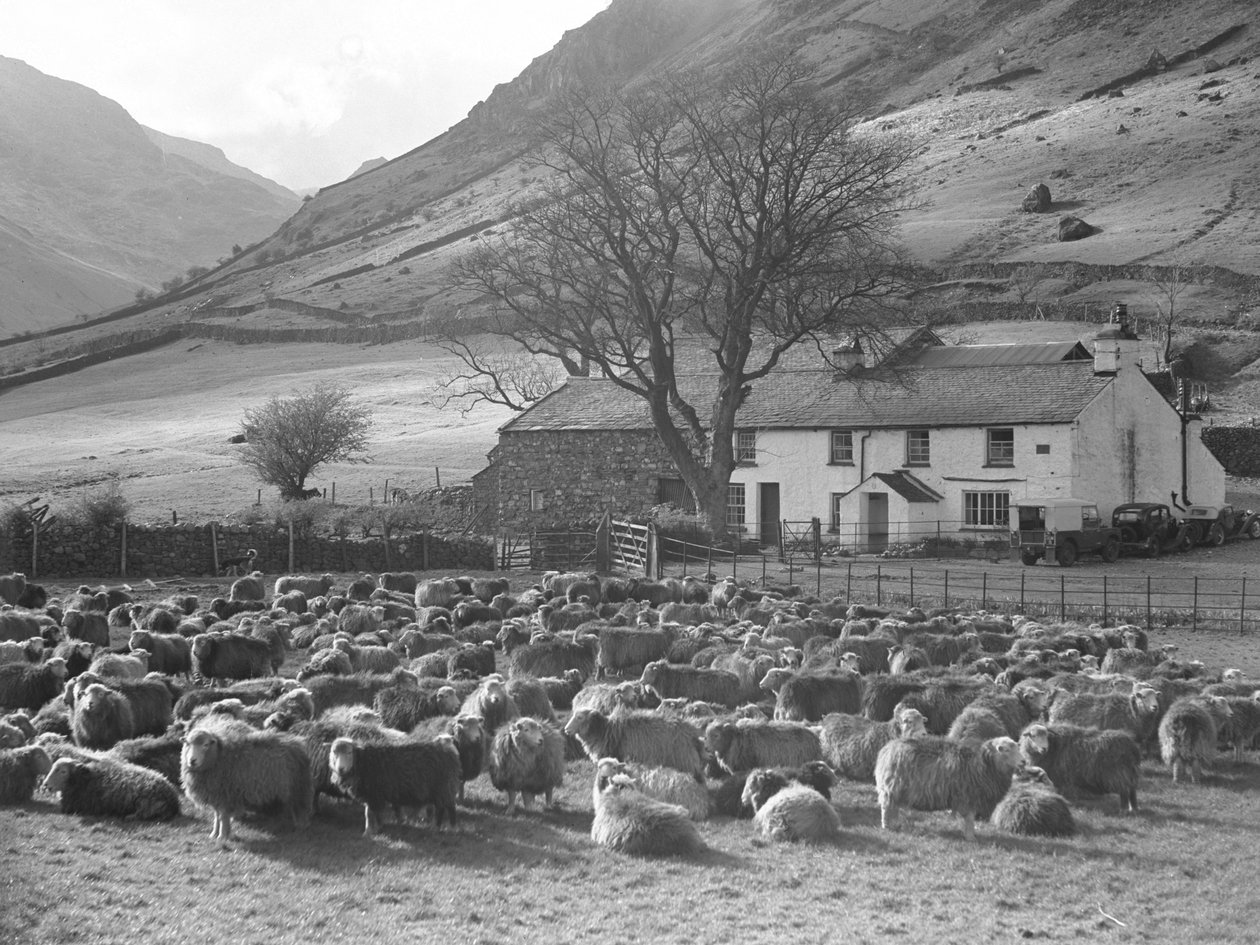  by Joseph Hardman