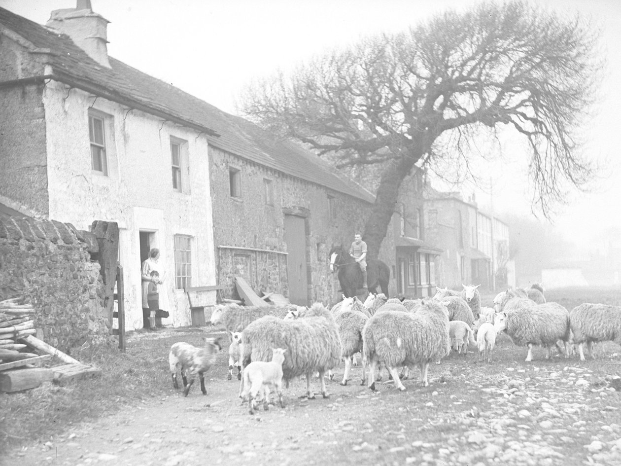  by Joseph Hardman