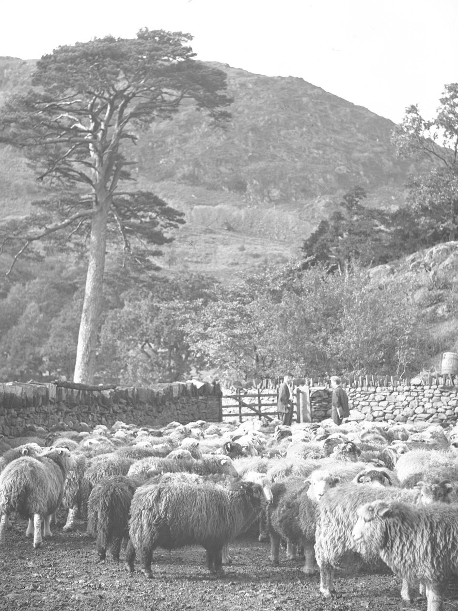 by Joseph Hardman