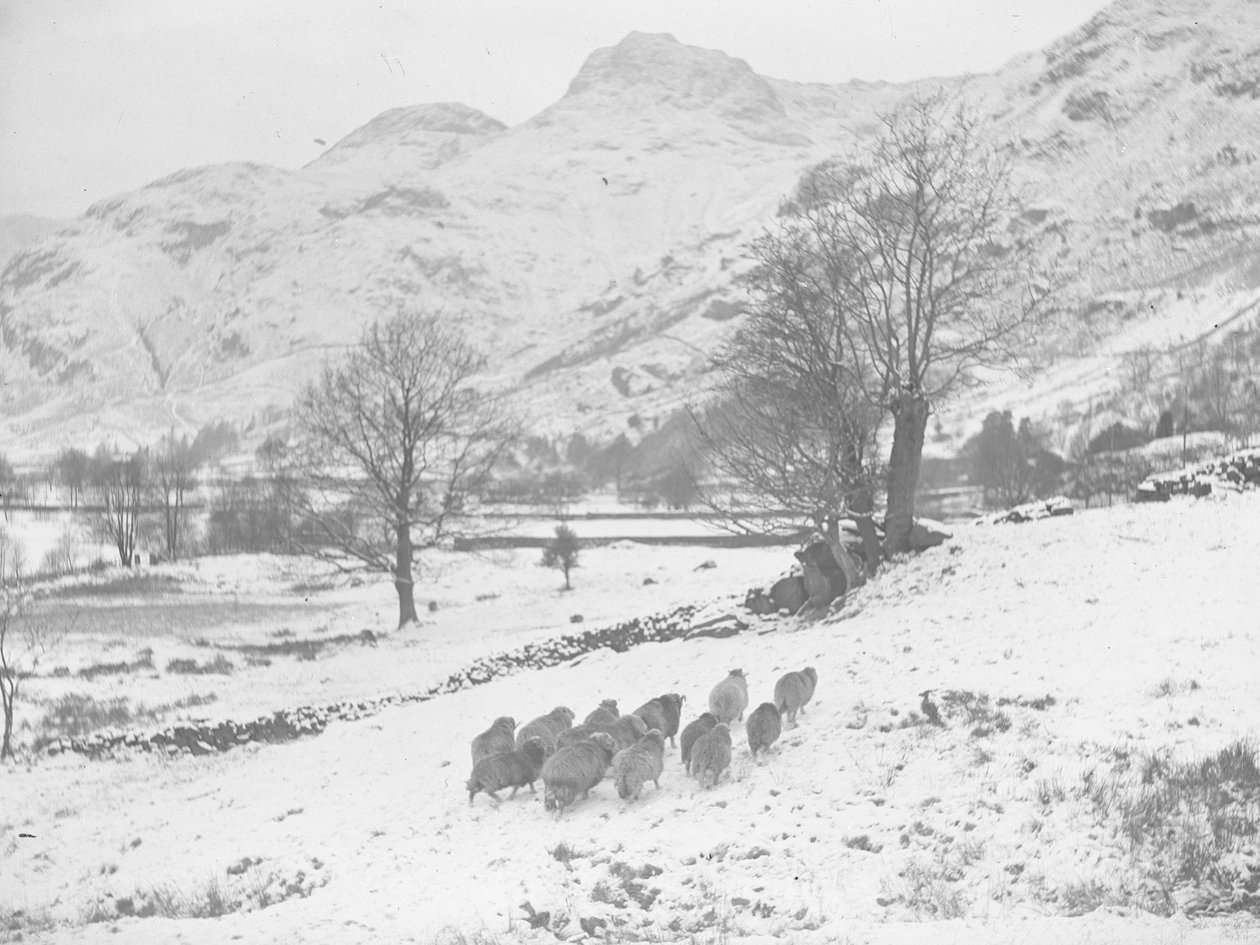  by Joseph Hardman