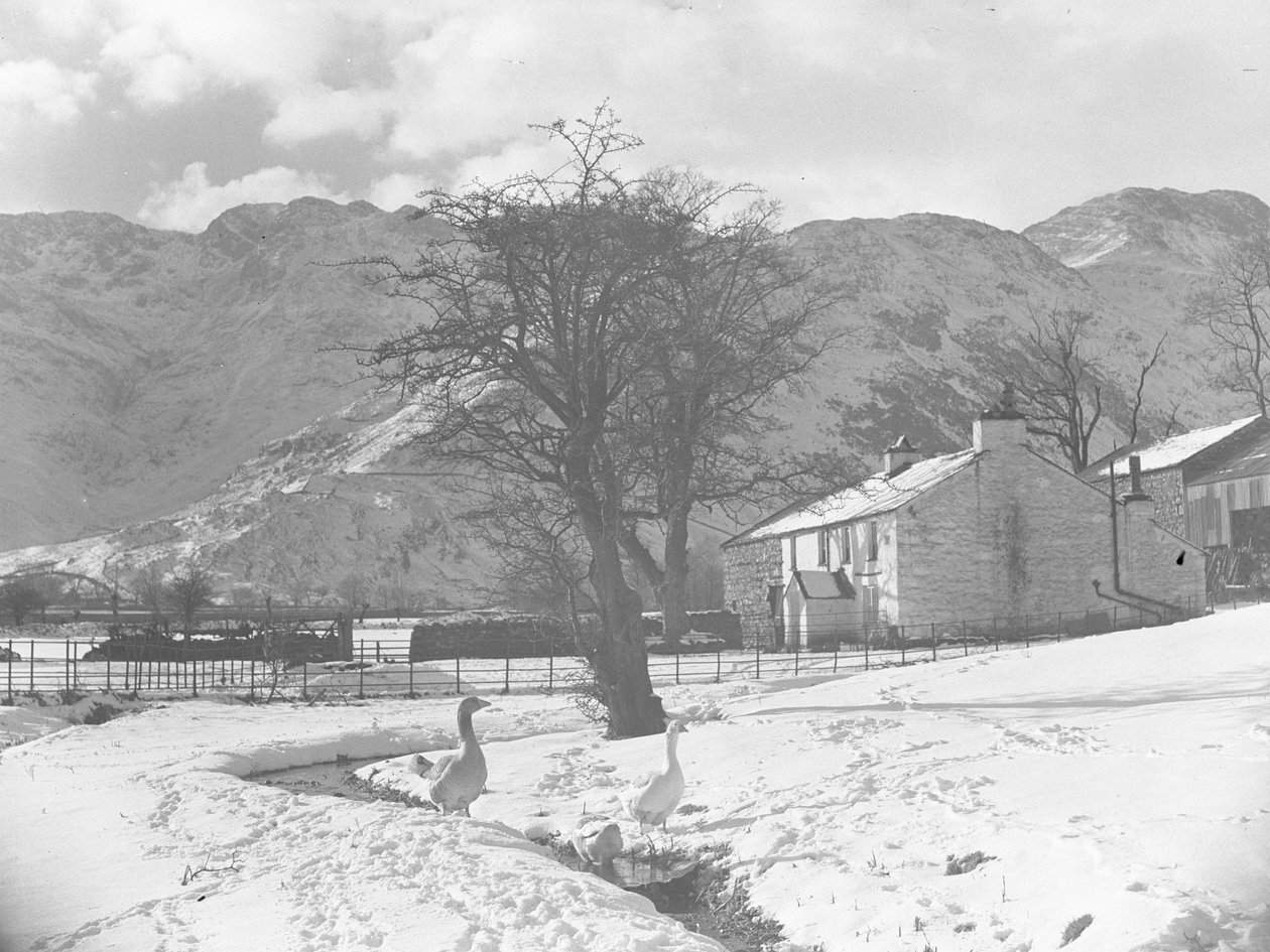 Ön planda küçük bir derenin yanında kazlar, etrafta karla kaplı zemin ve arka planda binalar by Joseph Hardman