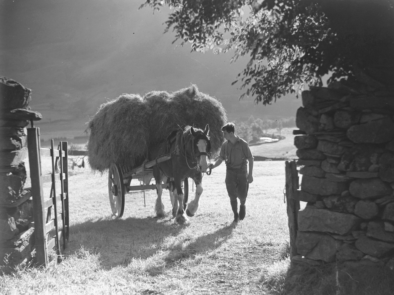  by Joseph Hardman