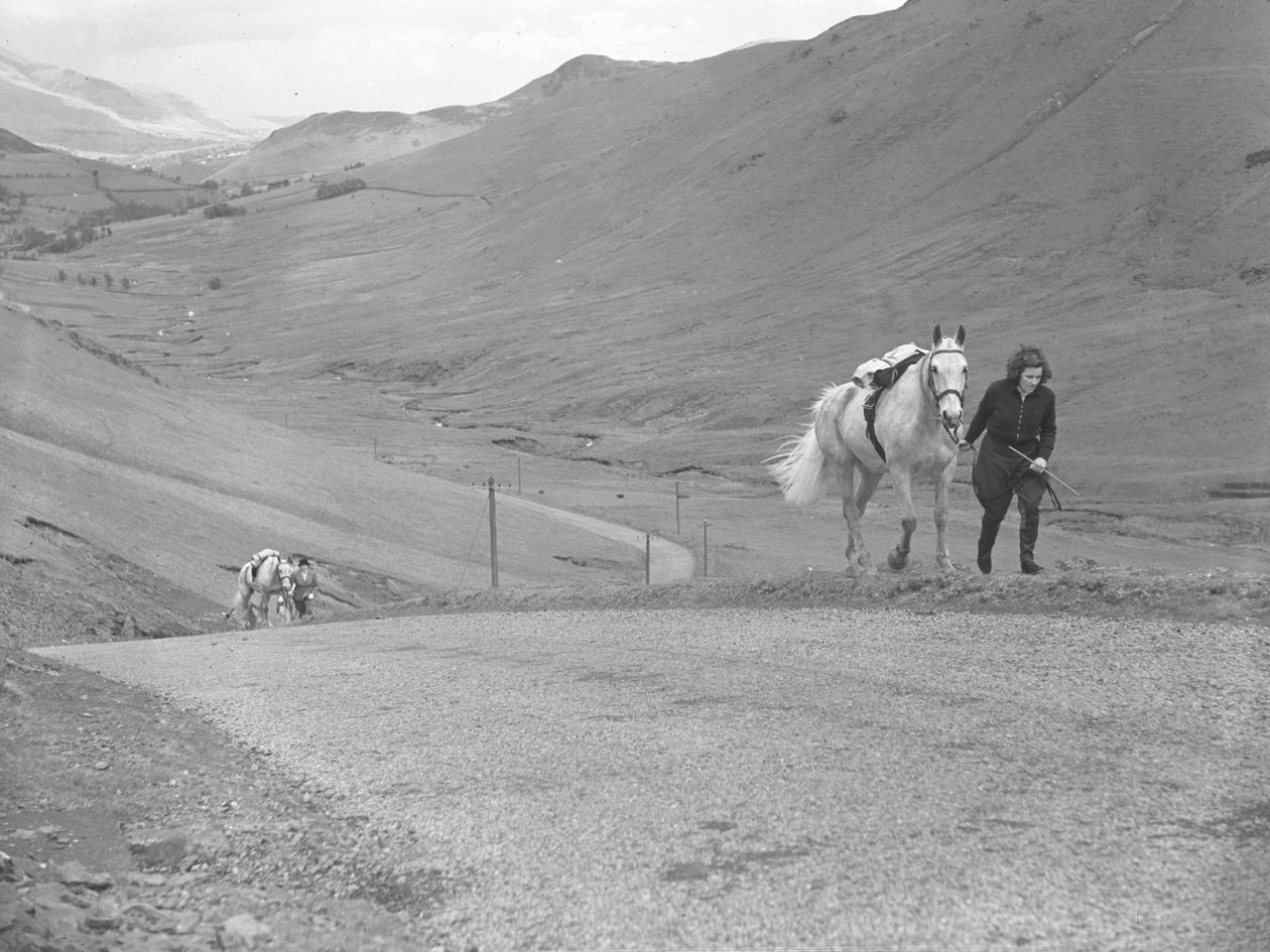  by Joseph Hardman