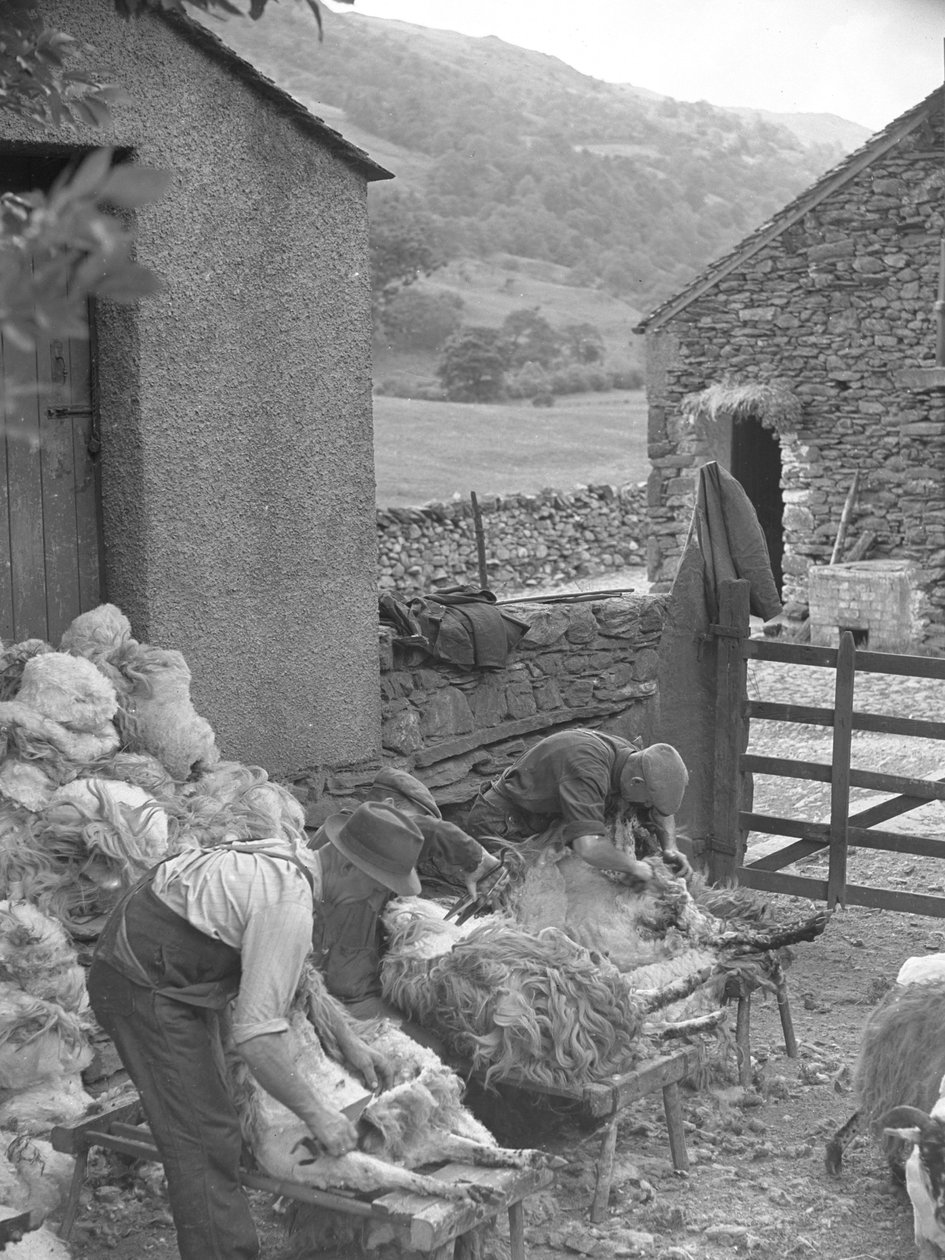  by Joseph Hardman
