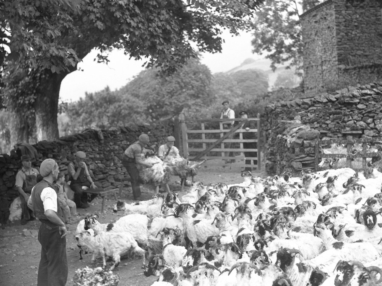  by Joseph Hardman