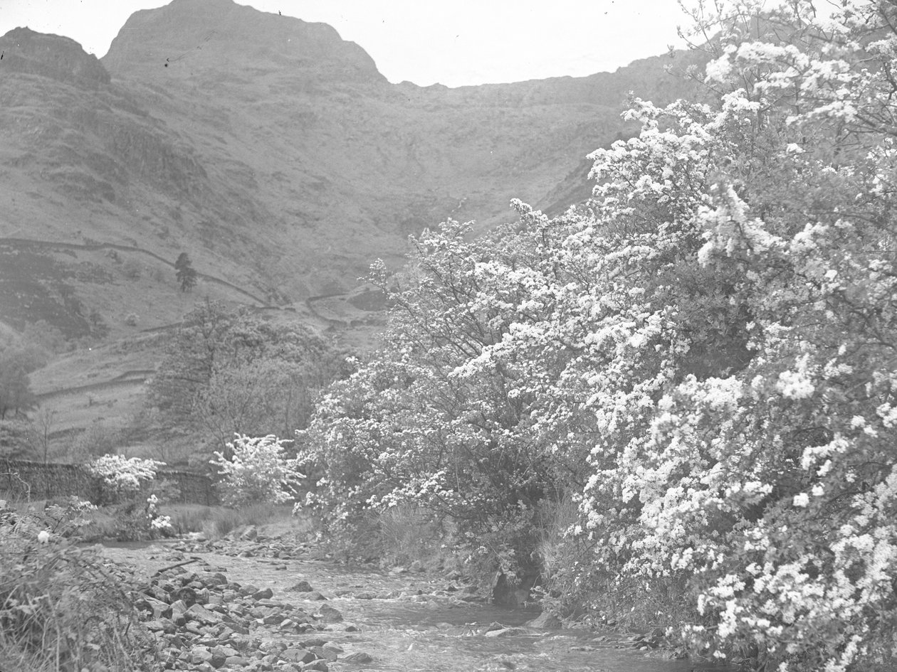  by Joseph Hardman
