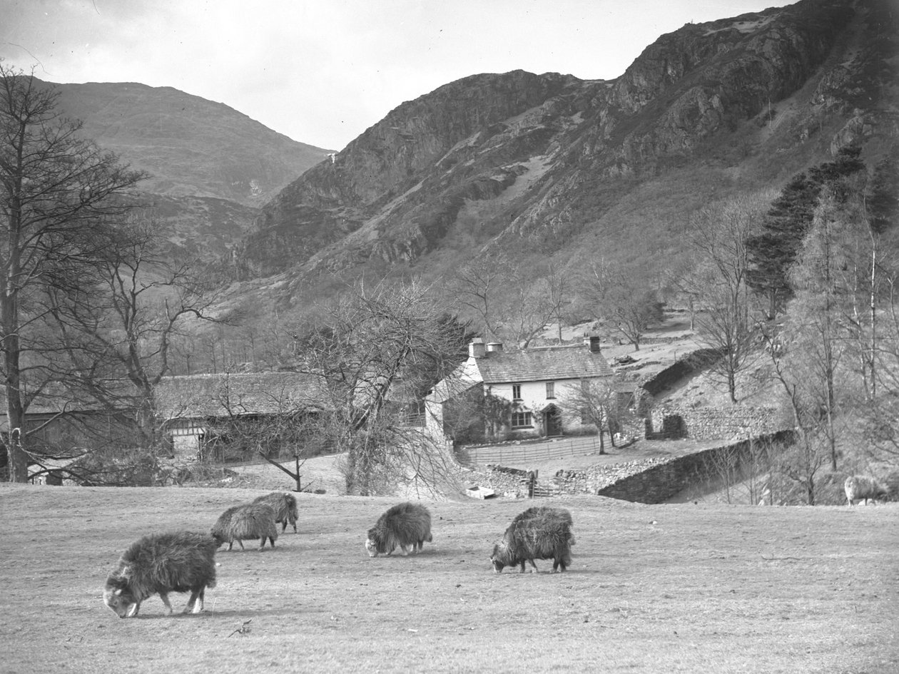  by Joseph Hardman