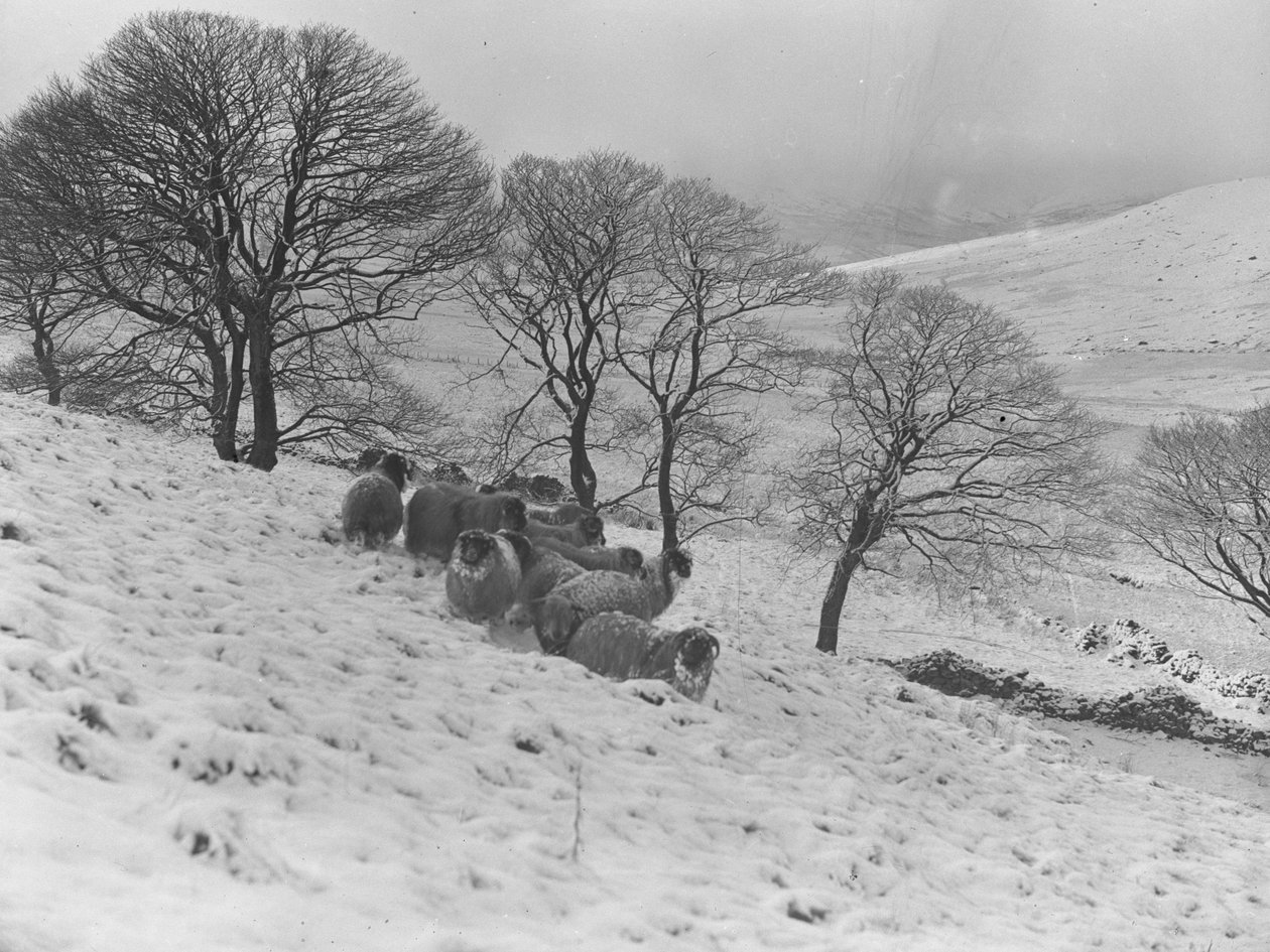  by Joseph Hardman