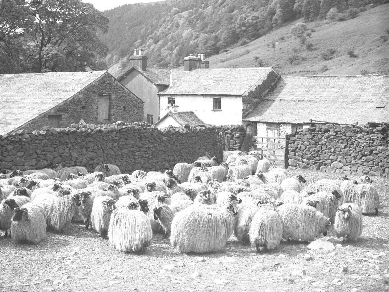  by Joseph Hardman