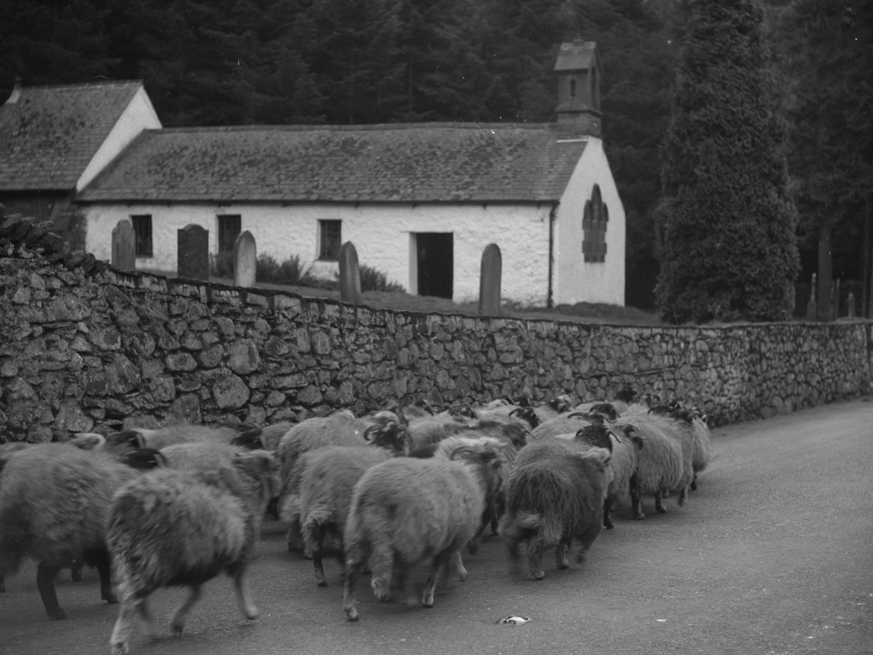  by Joseph Hardman