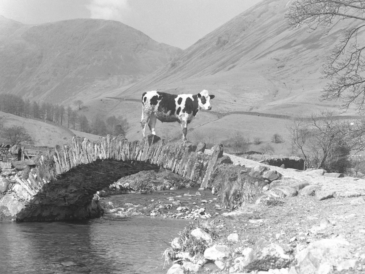  by Joseph Hardman