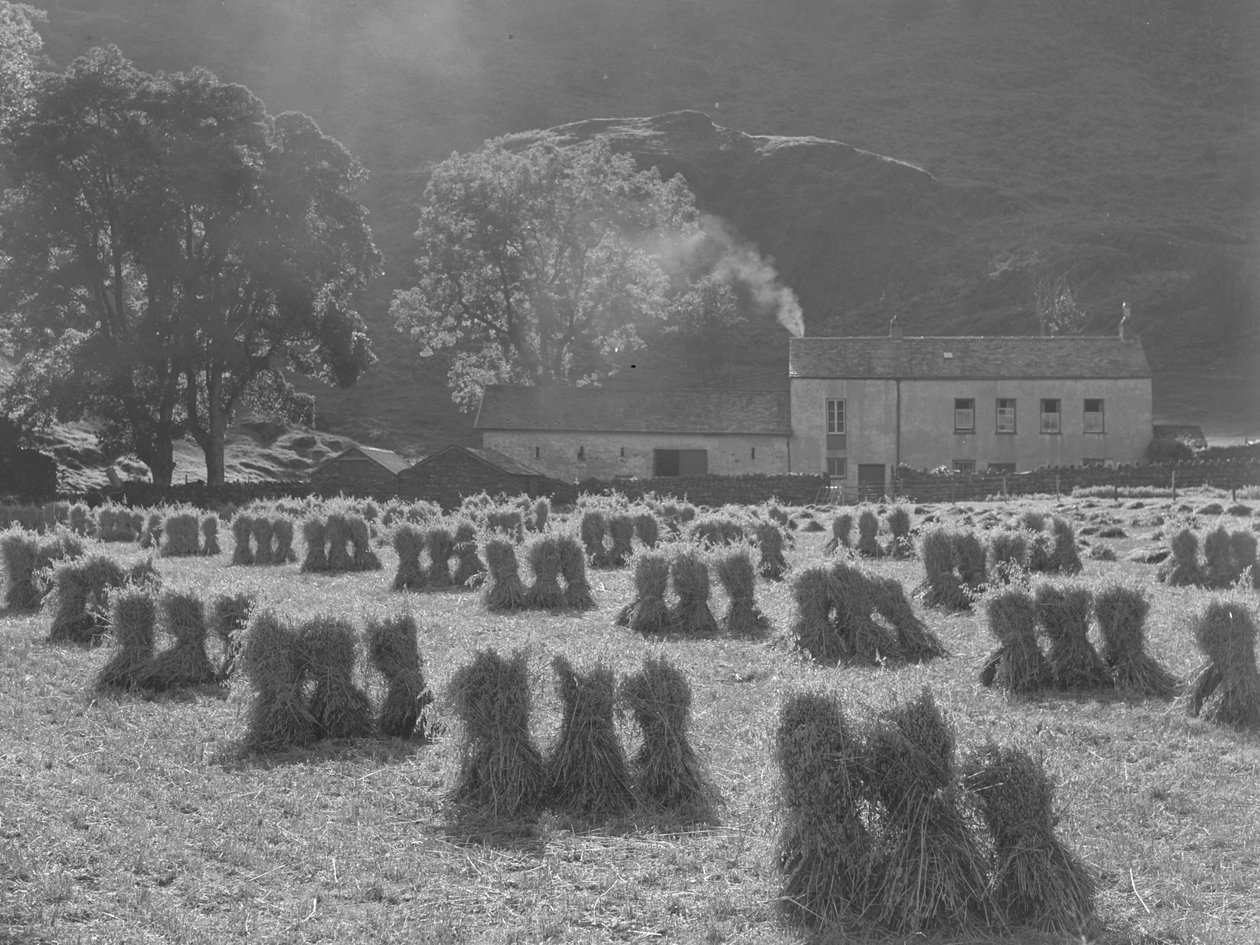  by Joseph Hardman