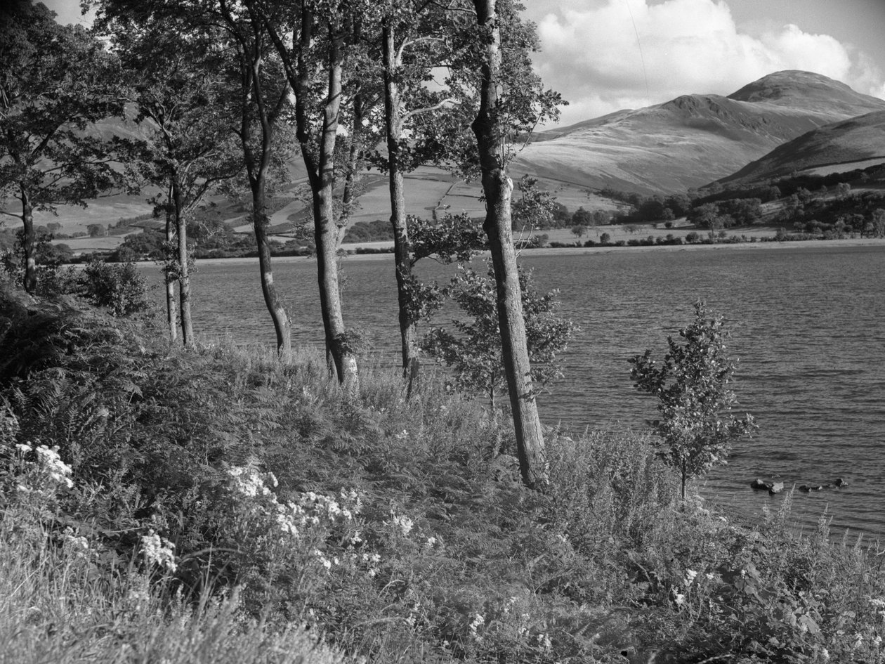 by Joseph Hardman
