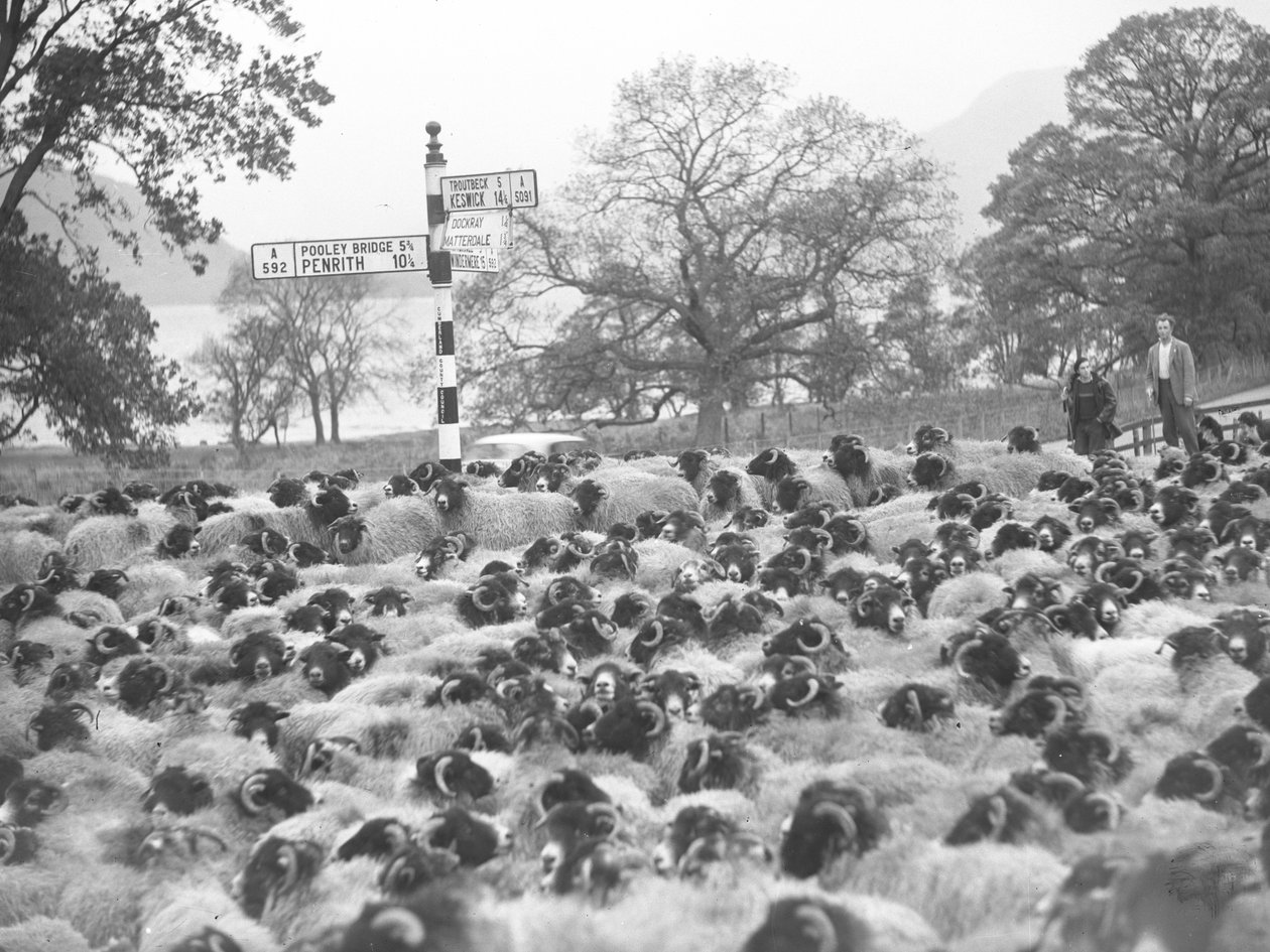  by Joseph Hardman