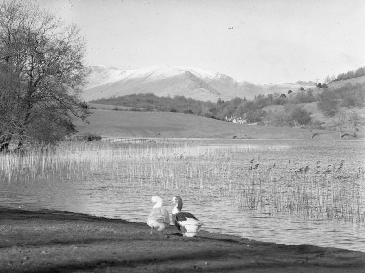  by Joseph Hardman