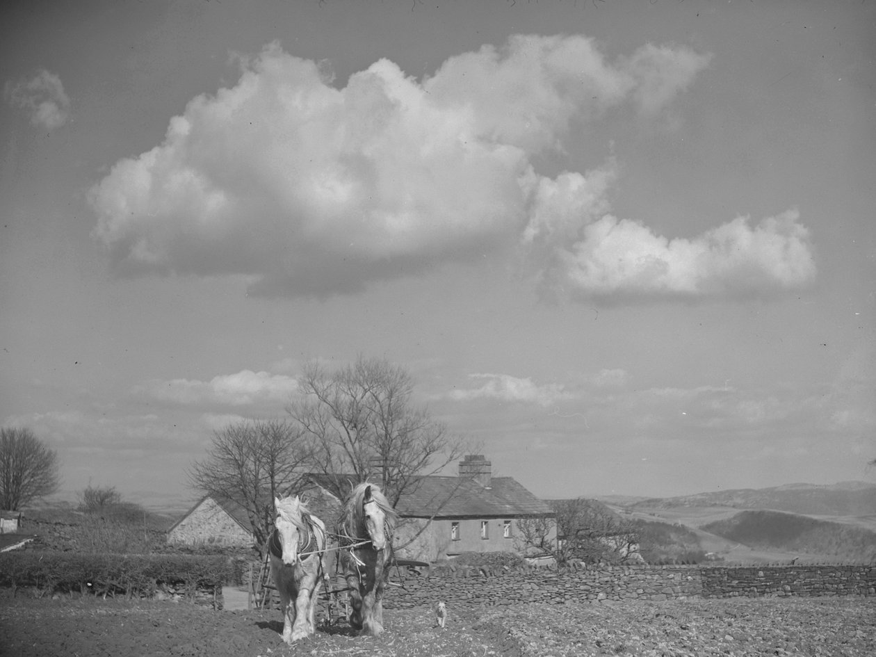  by Joseph Hardman