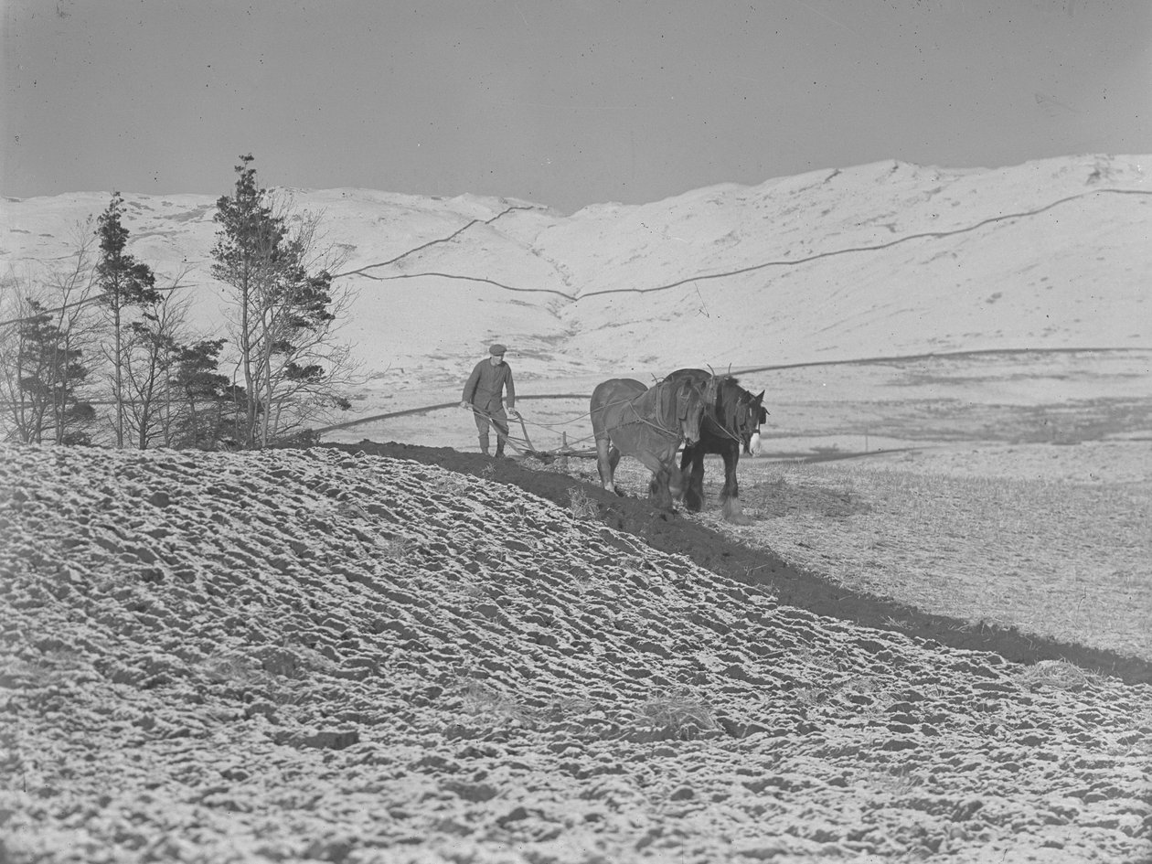  by Joseph Hardman