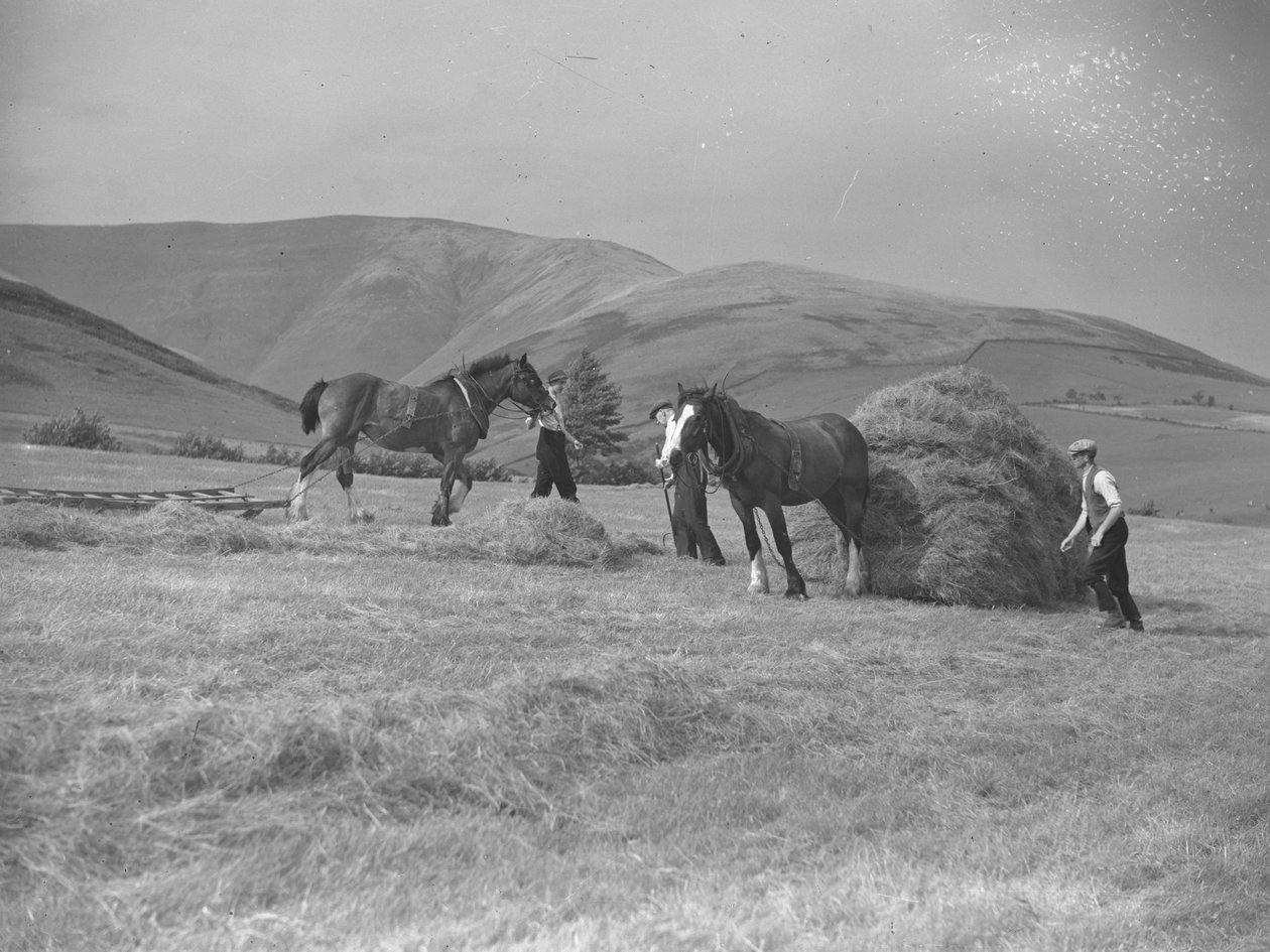  by Joseph Hardman