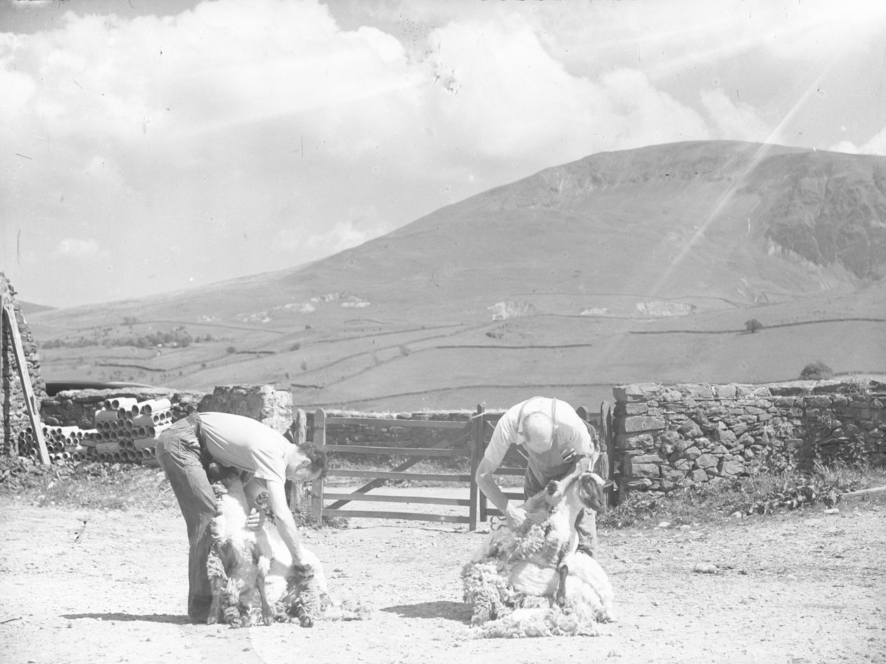  by Joseph Hardman